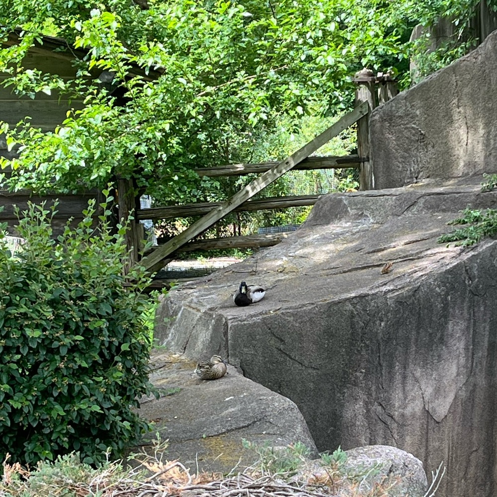 Meet your Posher, Abigail